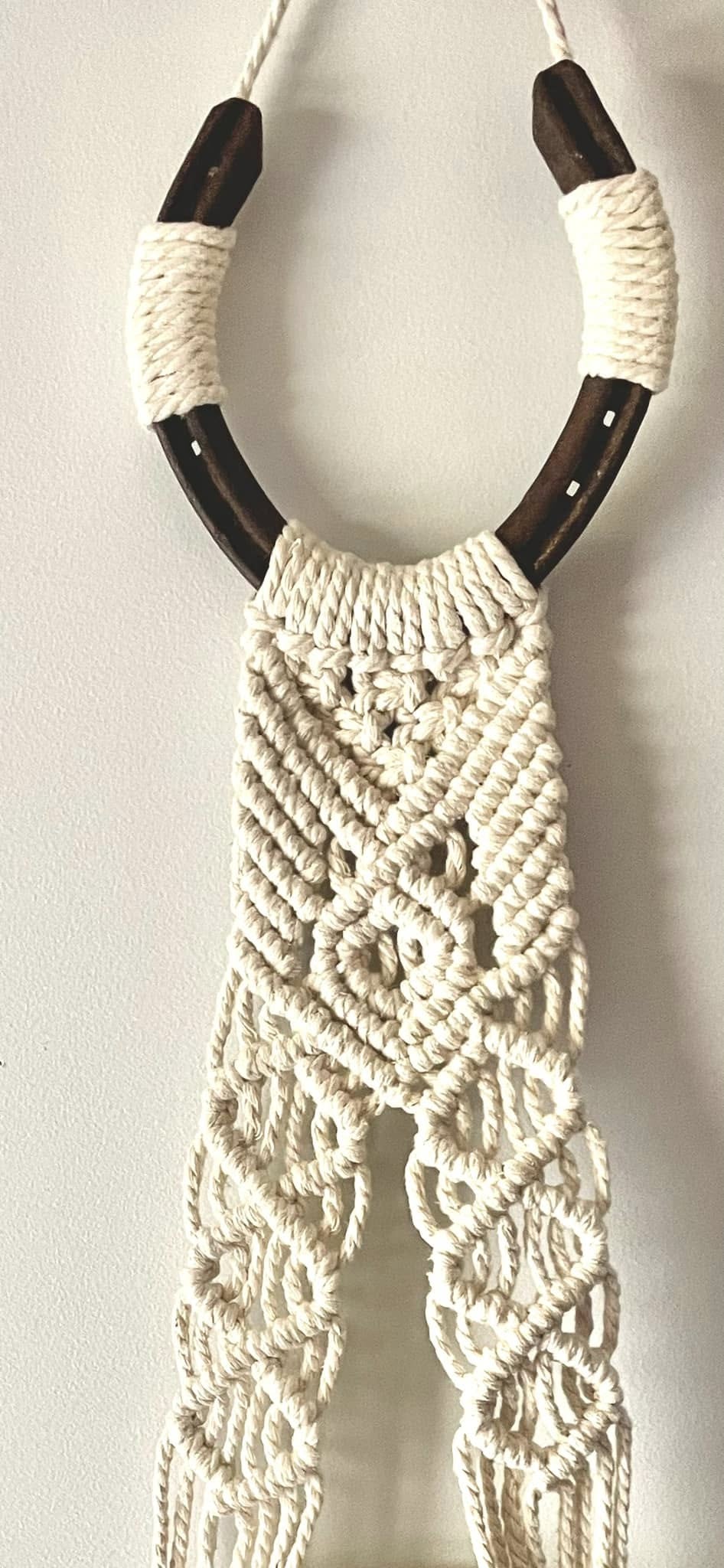 Horse shoe Hat hanger